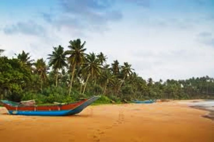 Kosgoda Trip Packages