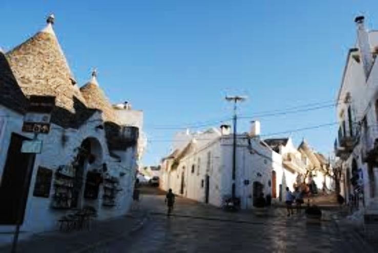 Metropolitan  Trip Packages