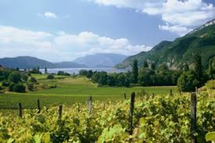 Savoie Trip Packages