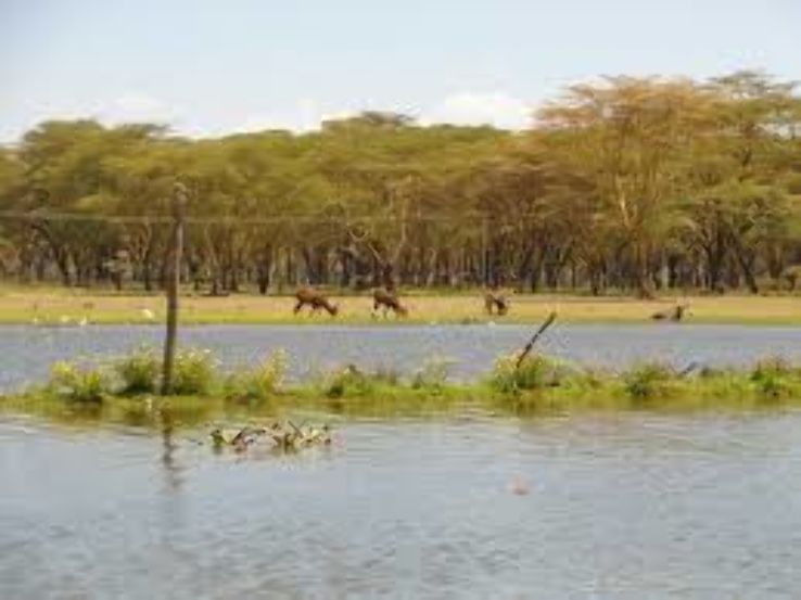 Naivasha Trip Packages