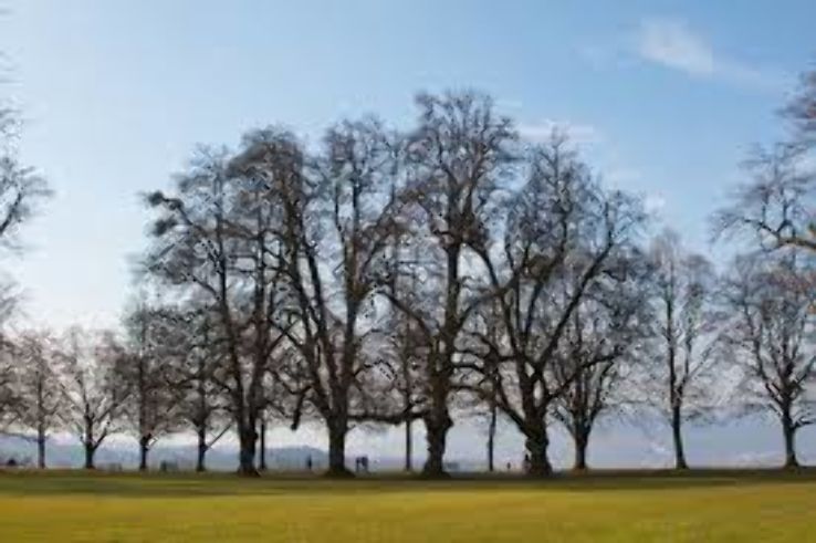 Zofingen Trip Packages