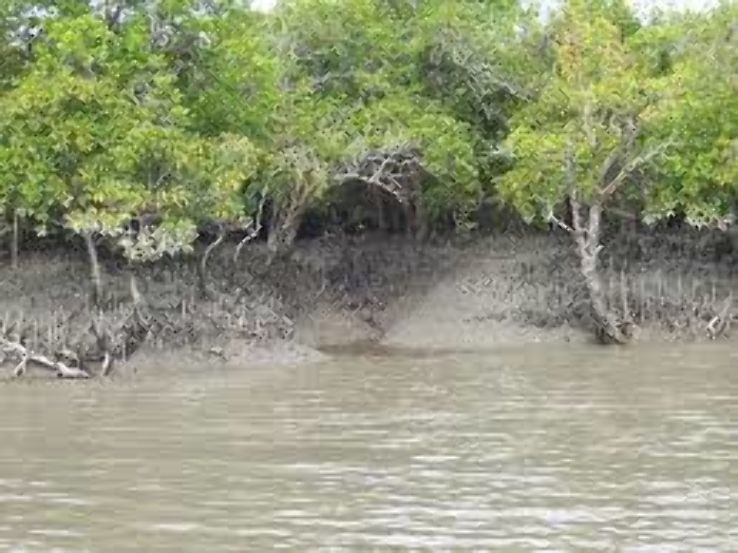 Amazing 3 Days Sundarban Vacation Package