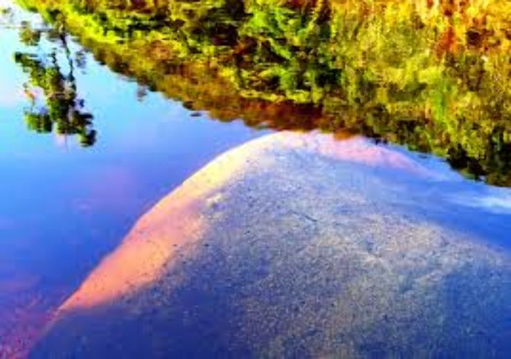 Remanso Trip Packages