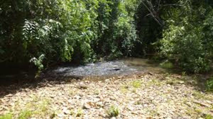 Bela Vista de Goias Trip Packages