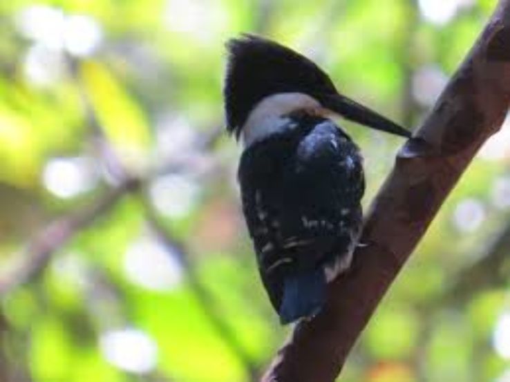 Santa Helena de Goias Trip Packages