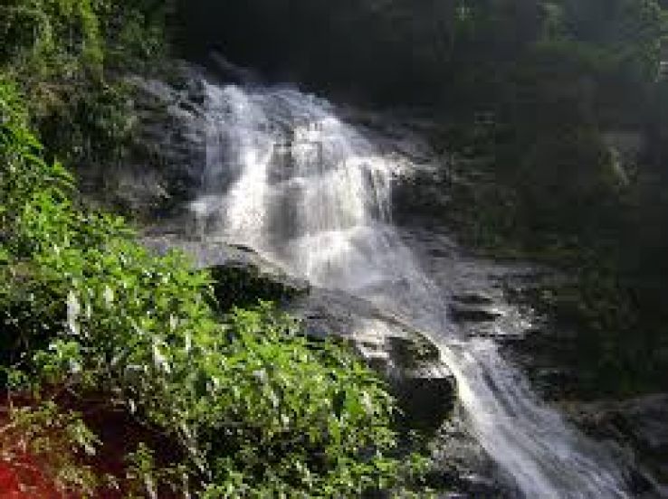 Floresta Trip Packages