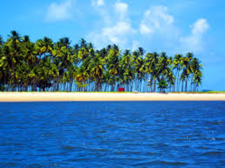 Guadalupe Trip Packages