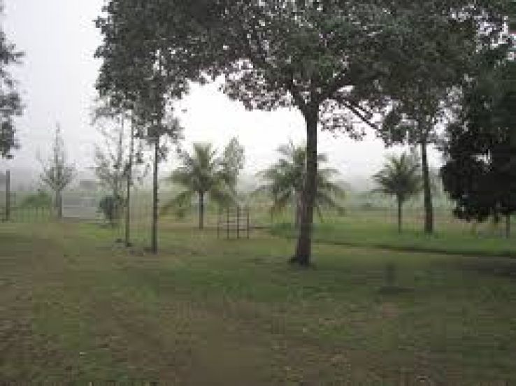 Jose de Freitas Trip Packages