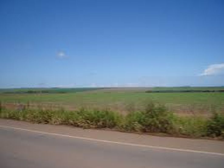 Vilhena Trip Packages