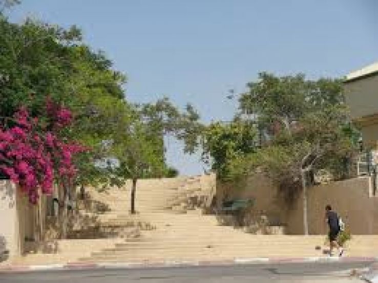 Dimona Trip Packages