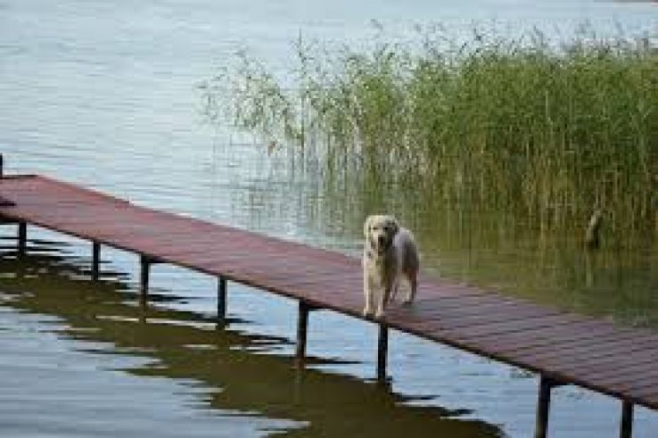 Choszczno Trip Packages