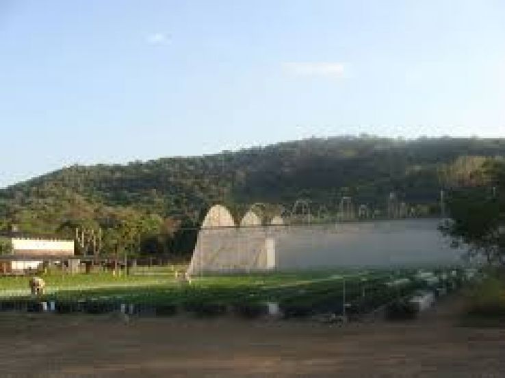 Amacuzac Trip Packages