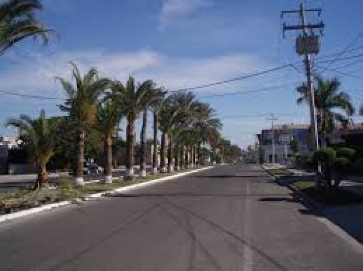 Navojoa Trip Packages