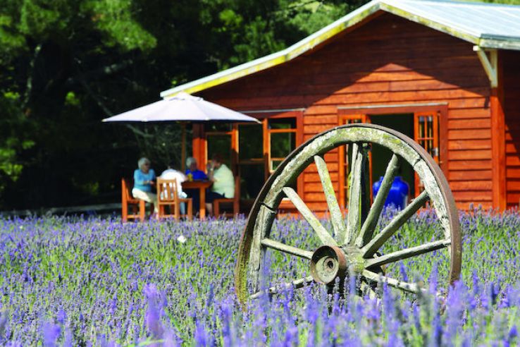 Taumarunui Trip Packages