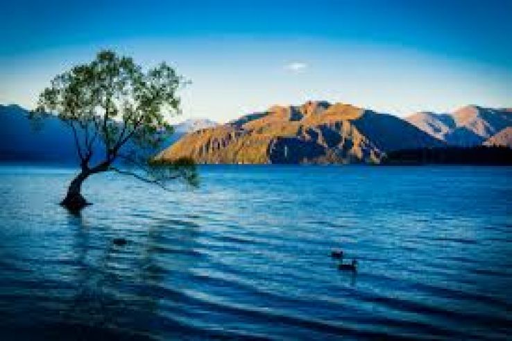 Wanaka Trip Packages