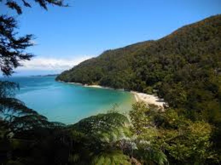 Tasman Trip Packages