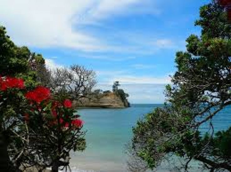Memorable Auckland Nature Tour Package for 4 Days from Rotorua