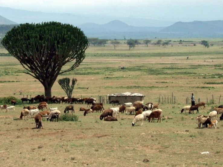 Gilgil Trip Packages