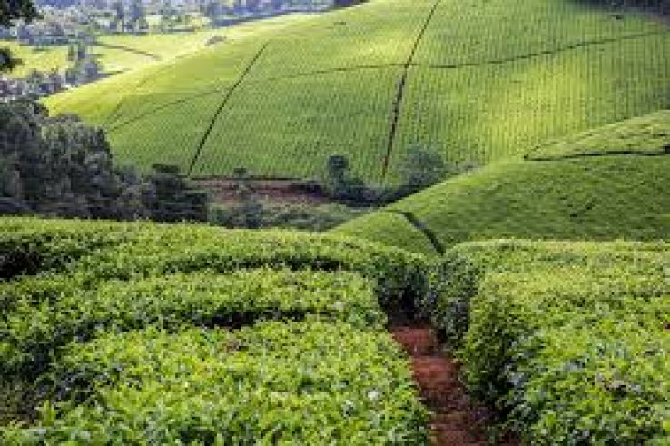 Limuru Trip Packages