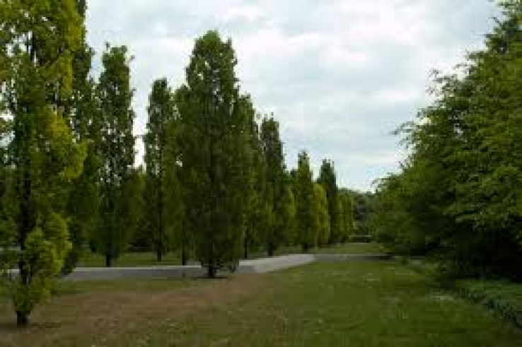 Sagana Trip Packages