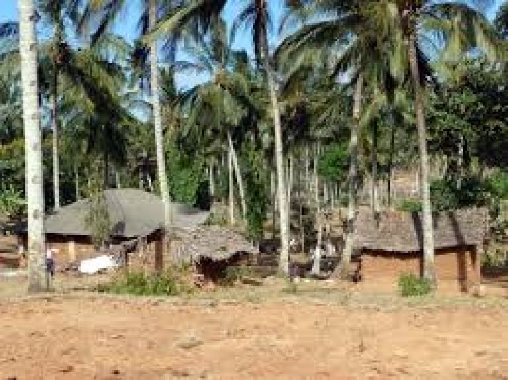 Kaloleni Trip Packages