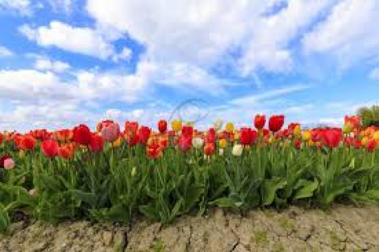 Reimerswaal Trip Packages Reimerswaal Trip Packages