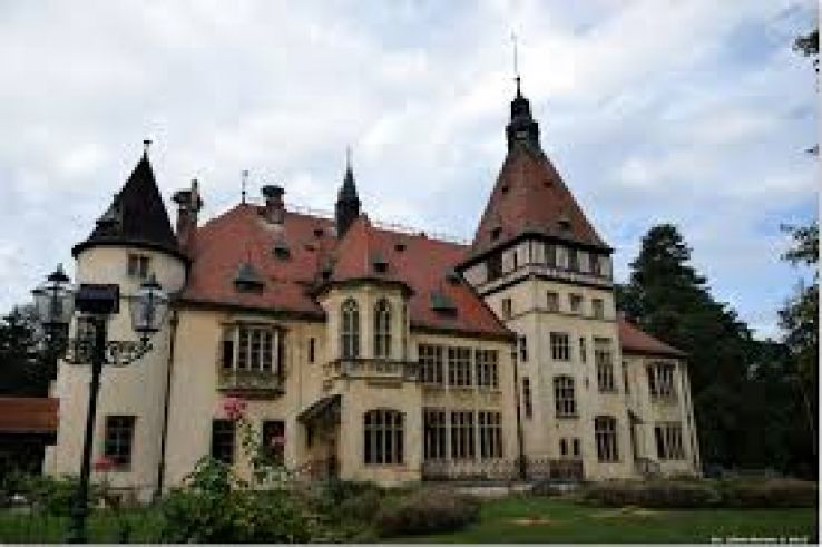 Donji Miholac Trip Packages