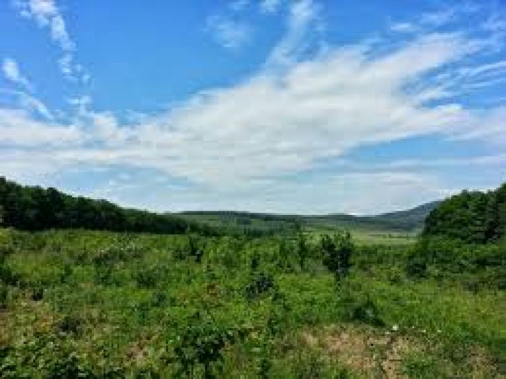 Nagykovacsi Trip Packages