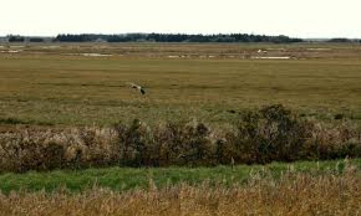 Fjerritslev Trip Packages