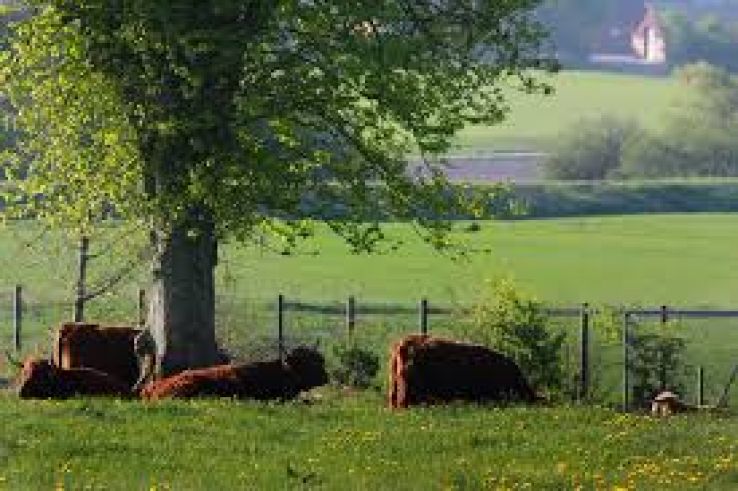 Roslev Trip Packages