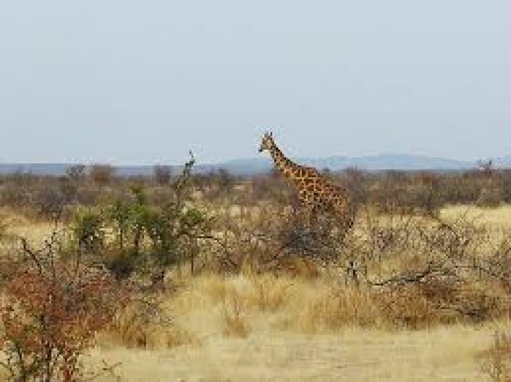 Oshana Trip Packages