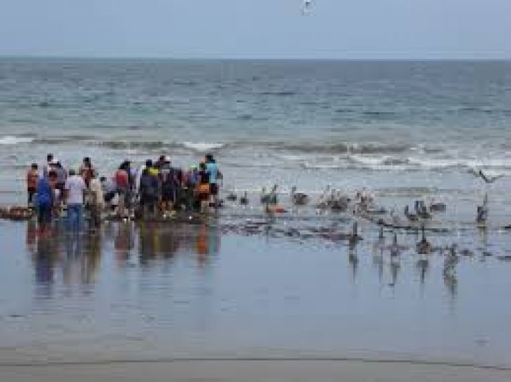 Santa Elena Trip Packages