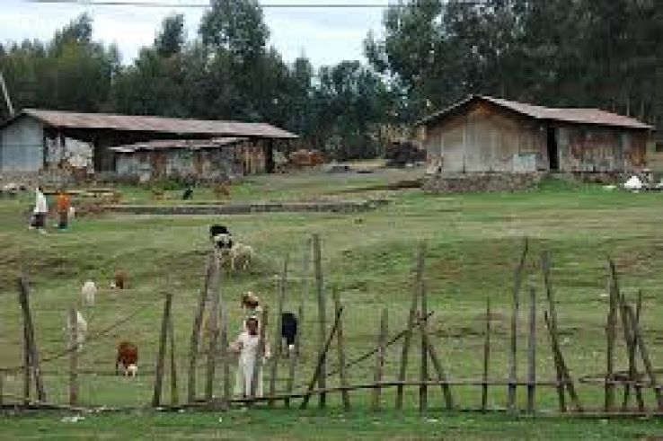 Nefas Meewcha Trip Packages