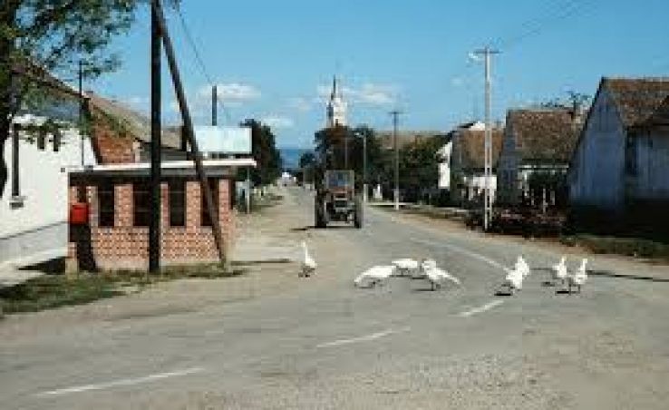 Zabrani Trip Packages