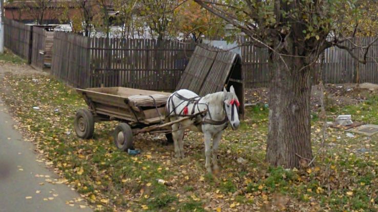 Caldararu Trip Packages