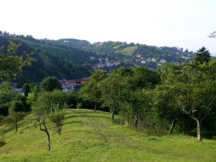 Livezi Trip Packages