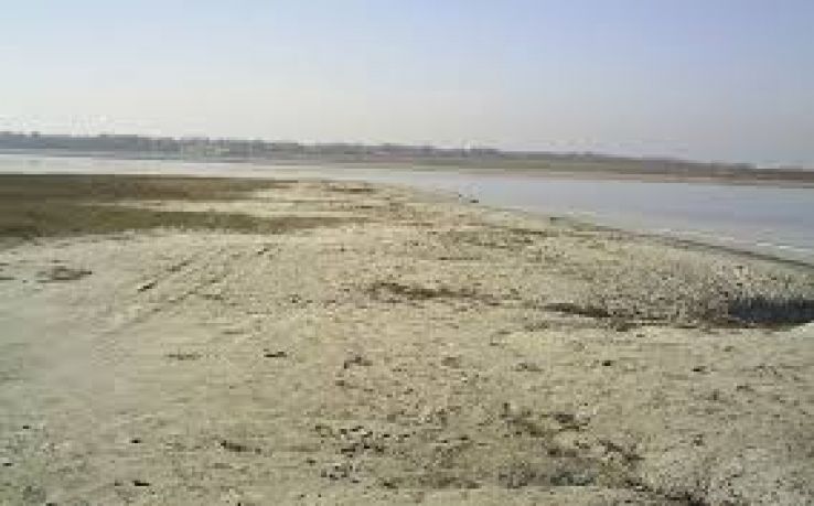 Movila Miresii Trip Packages