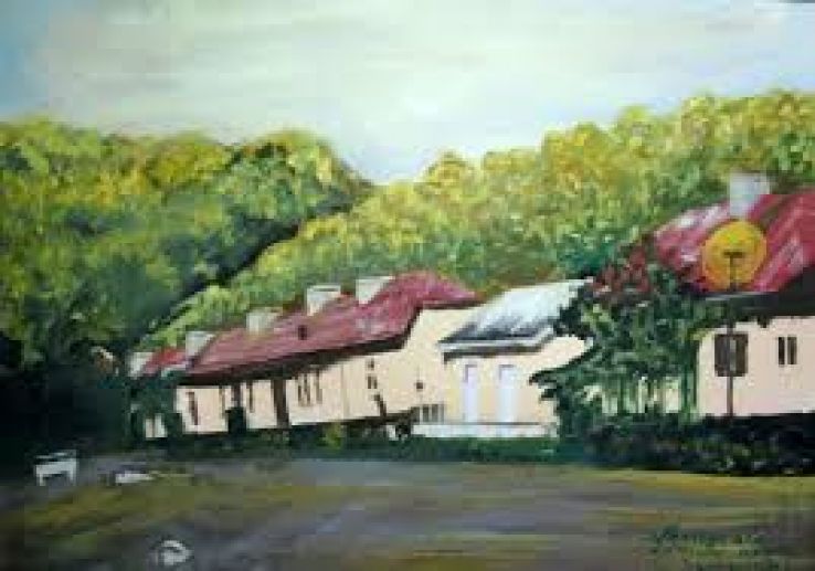 Tichilesti Trip Packages