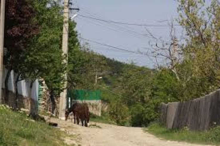 Pietroasele Trip Packages