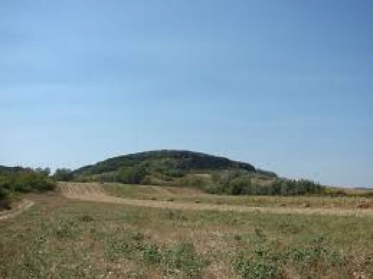 Cotofenii din Dos Trip Packages