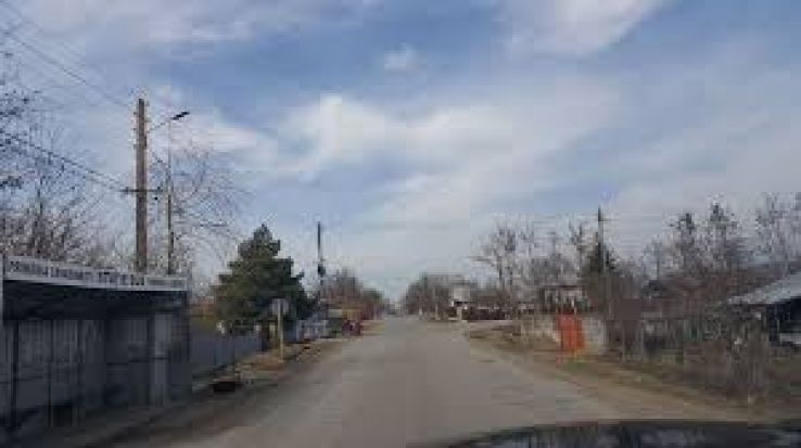 Cavadinesti Trip Packages