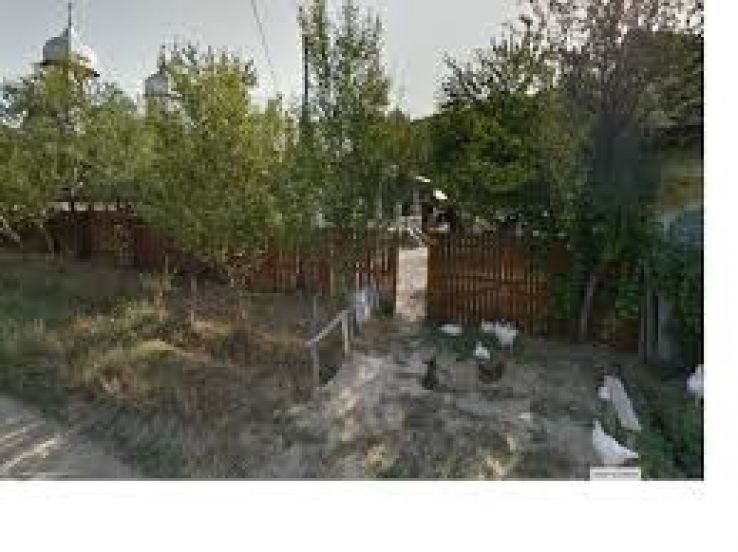 Capreni Trip Packages