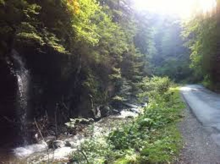 Petrila Trip Packages