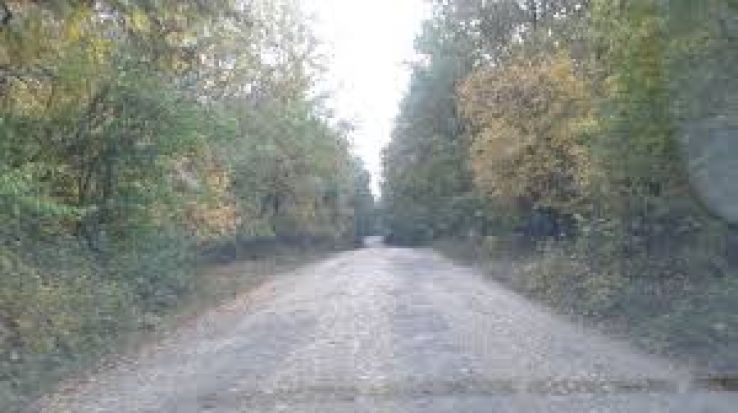 Axintele Trip Packages