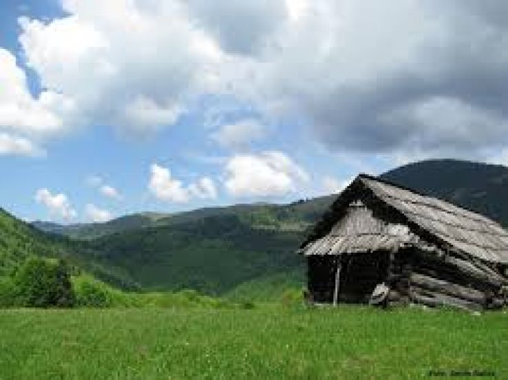 Repedea Trip Packages