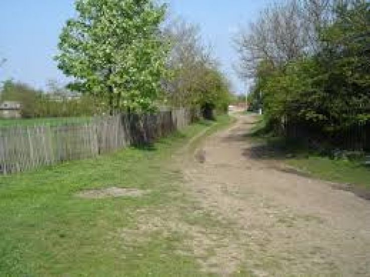 Sarbeni Trip Packages