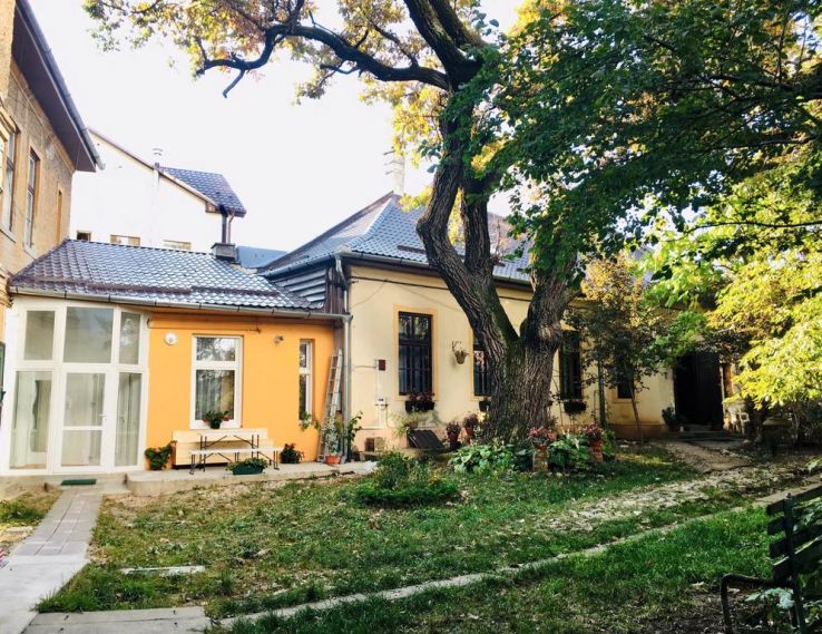 Stejaru Trip Packages