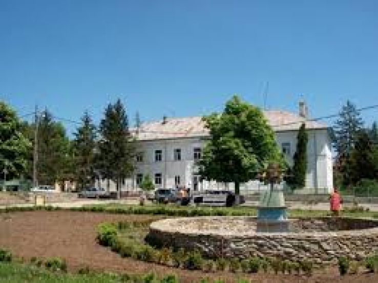 Videle Trip Packages