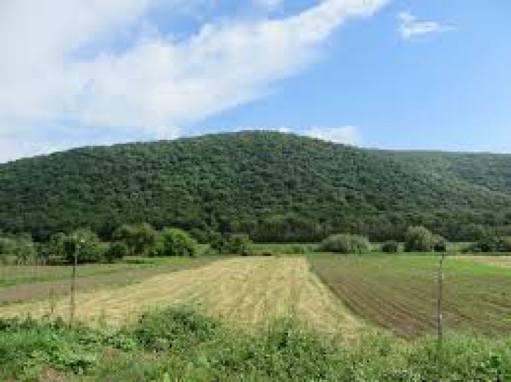 Slava Cercheza Trip Packages