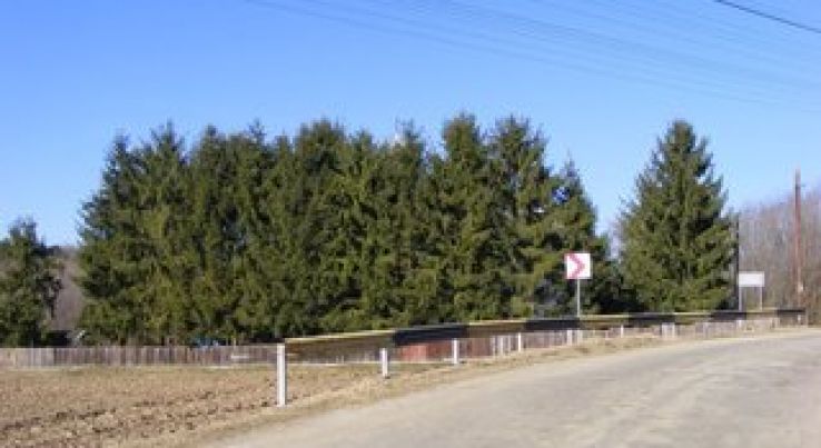 Danicei Trip Packages